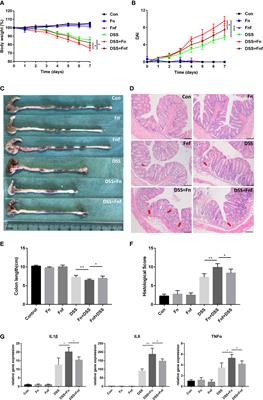 Fucose ameliorates the proinflammatory property of Fusobacterium nucleatum in colitis via altering its metabolism